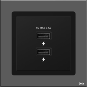 Dual USB Socket