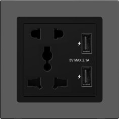 2 Pin, 3 Pin Universal Socket With Dual USB