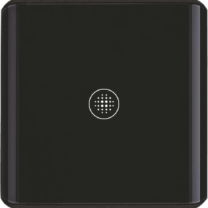 1 Gang Light Switch (DKS01-W/Z)