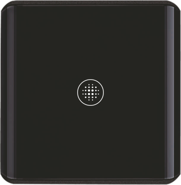 1 Gang Light Switch (DKS01-W/Z)