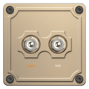 2 Gang Switch (A2-D8)
