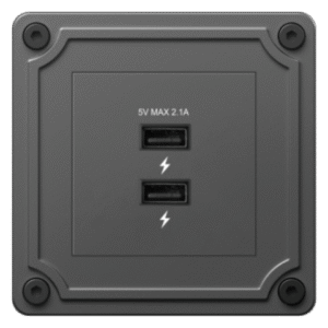 Dual USB Socket