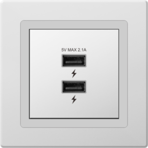 Dual USB Socket