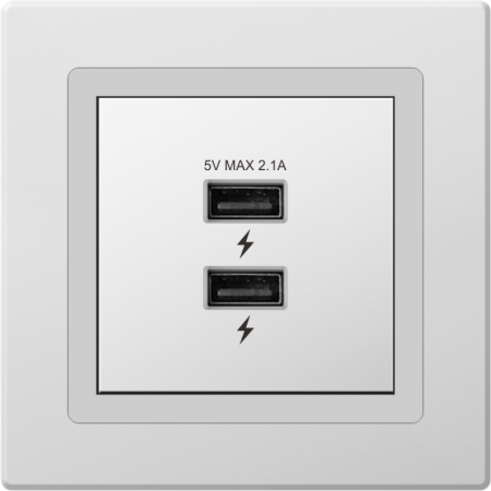 Dual USB Socket